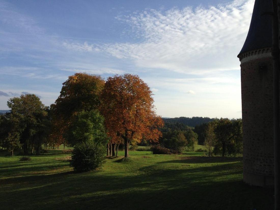 Château de la Forie Saint-Etienne-sur-Usson Exterior foto
