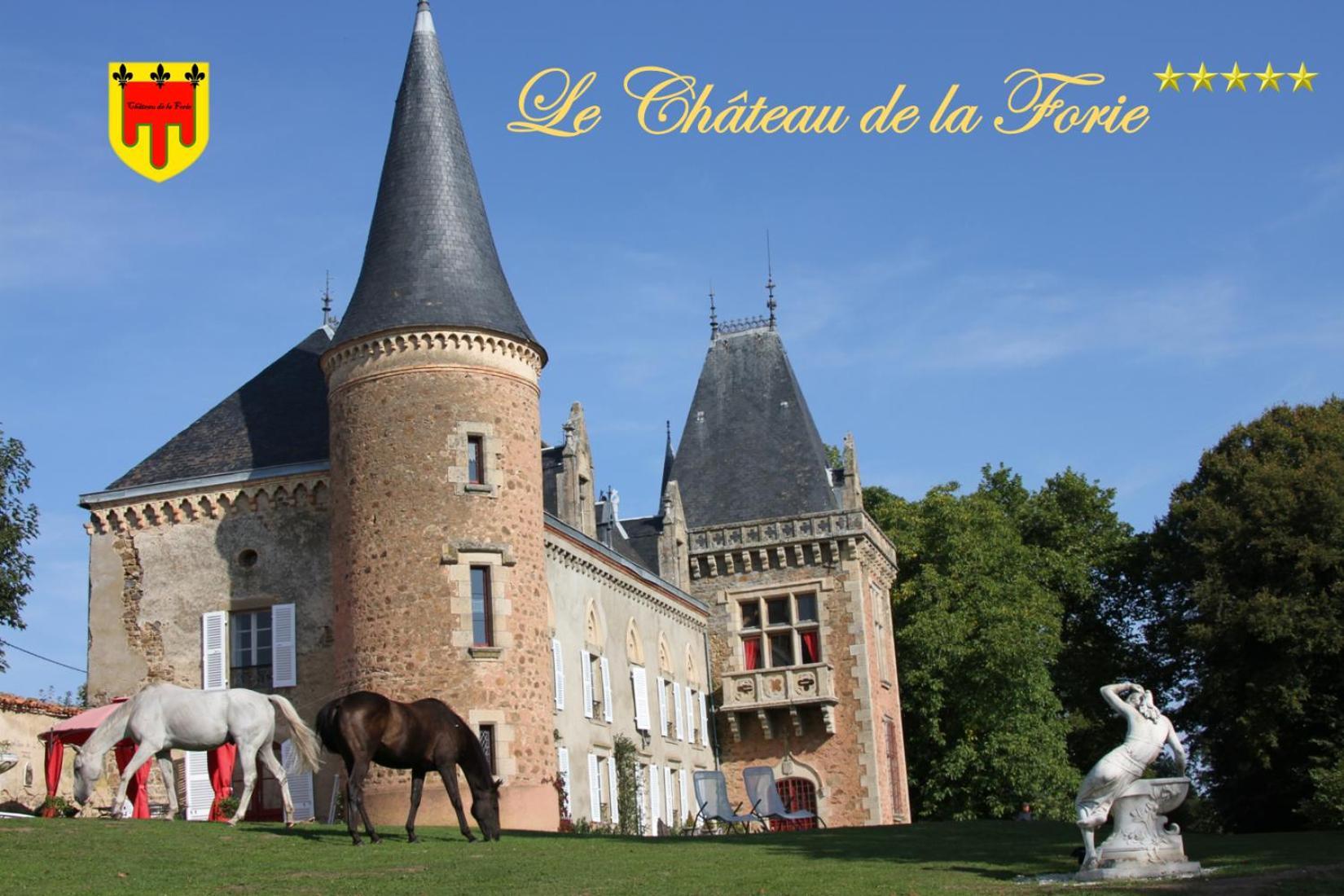 Château de la Forie Saint-Etienne-sur-Usson Exterior foto